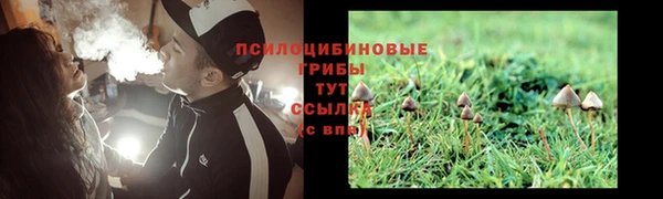 тгк Алексин