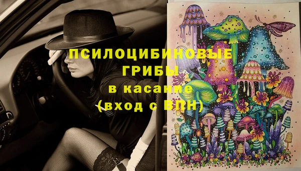 прущие крисы Абинск