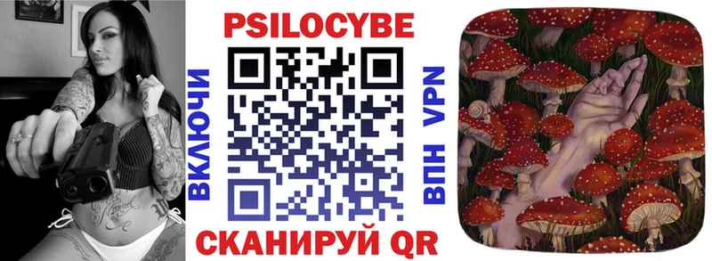 Псилоцибиновые грибы Psilocybe Мегион